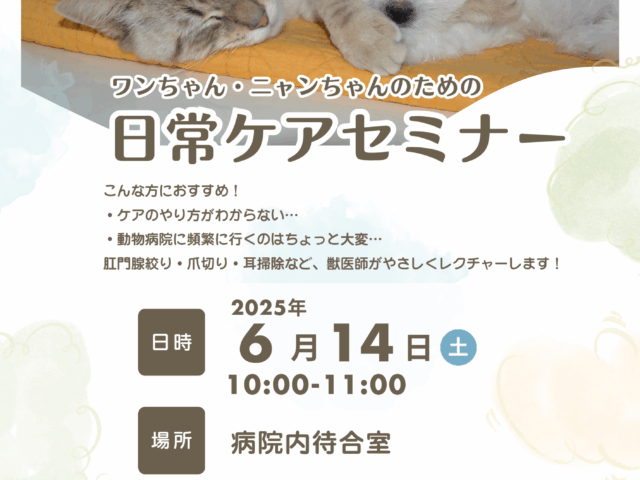 🐶日常ケアセミナー開催のお知らせ🐱