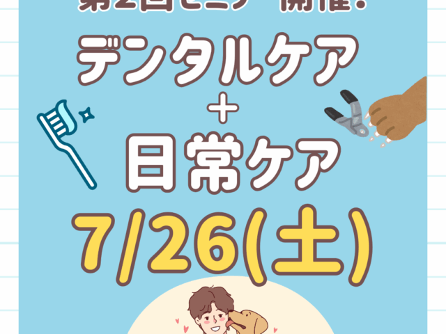 【第2弾】歯科＋日常ケアセミナーのお知らせ