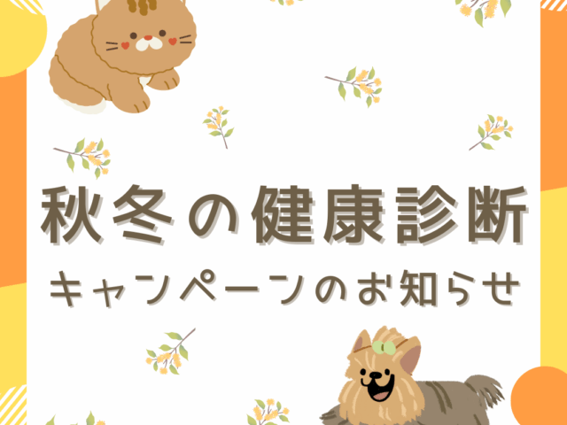 【秋冬の健康診断】キャンペーンのお知らせ