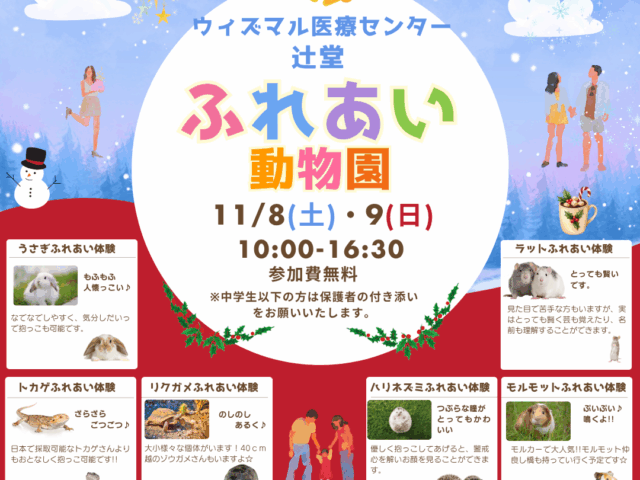 11/8(土)・11/9(日)ふれあい動物園のお知らせ🐰